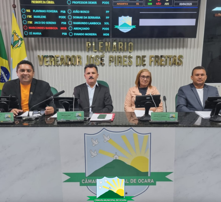 11º Sessão Ordinária de 2025