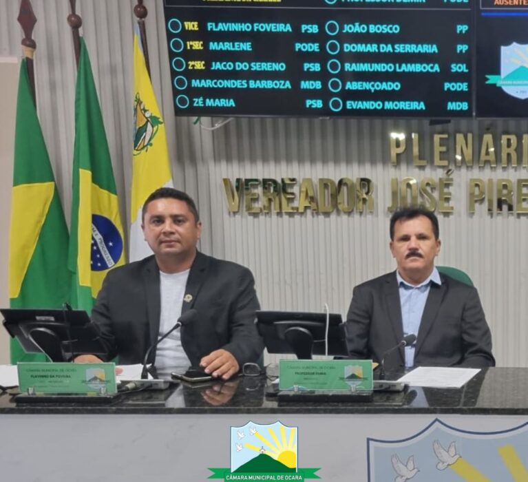 12ª Sessão Ordinária de 2025