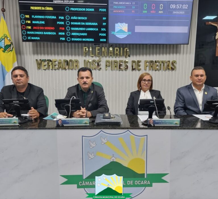 19ª Sessão Ordinária de 2025