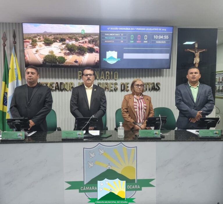 17ª Sessão Ordinária de 2025