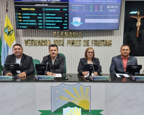 20ª Sessão Ordinária de 2025