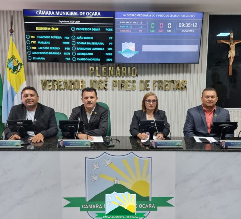 20ª Sessão Ordinária de 2025