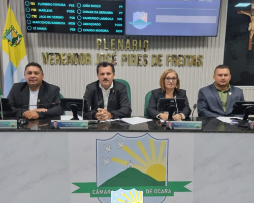 24ª Sessão Ordinária de 2025