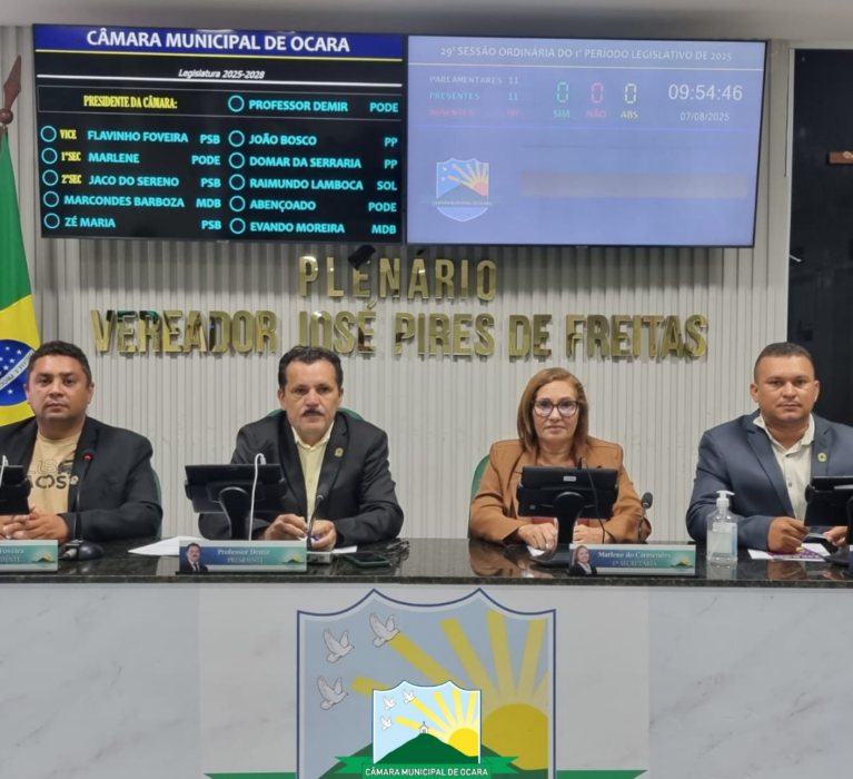 29ª Sessão Ordinária de 2025