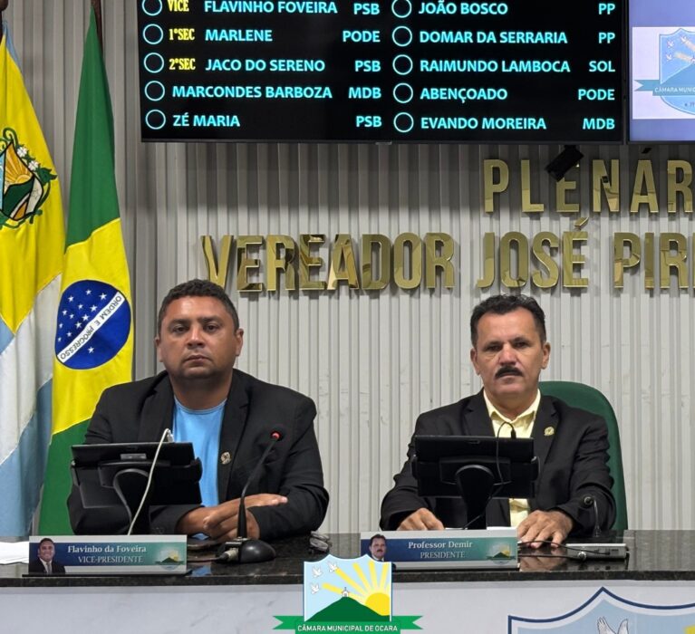 31ª Sessão Ordinária de 2025