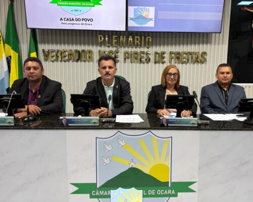 33ª Sessão Ordinária de 2025