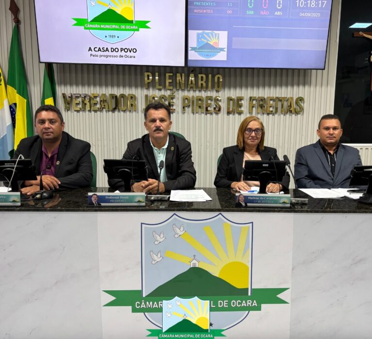 33ª Sessão Ordinária de 2025