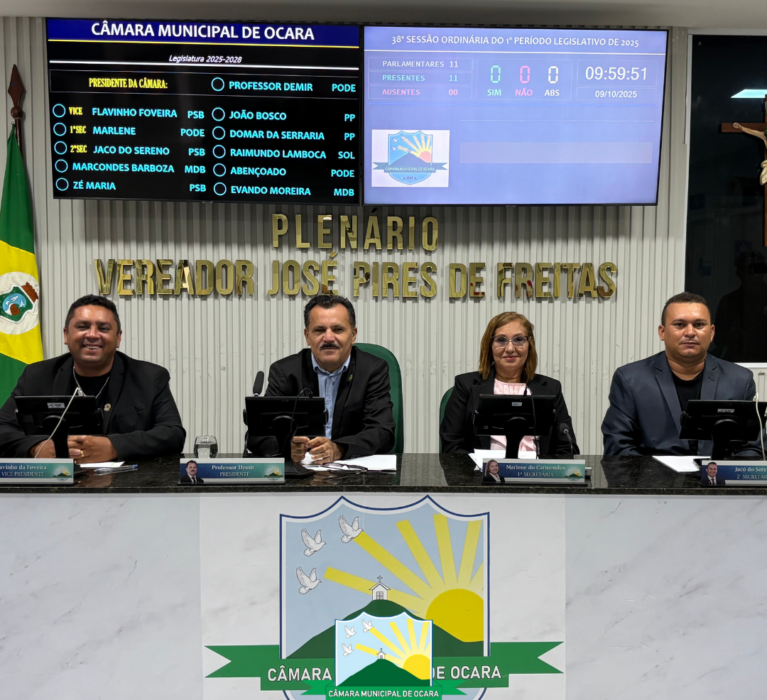 38ª Sessão Ordinária de 2025