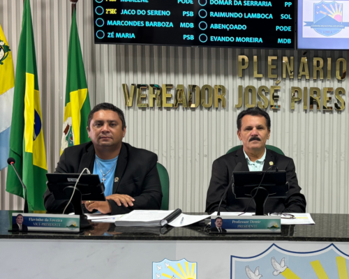 41ª Sessão Ordinária de 2025