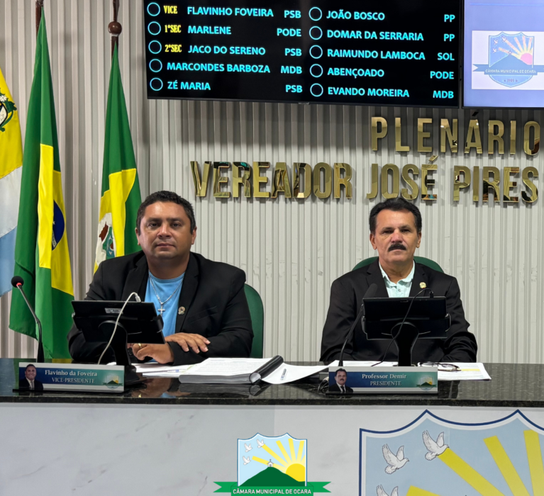 41ª Sessão Ordinária de 2025