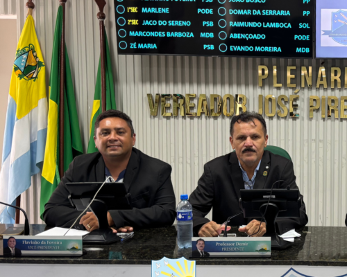 43ª Sessão Ordinária de 2025