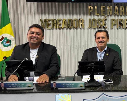 46ª Sessão Ordinária de 2025