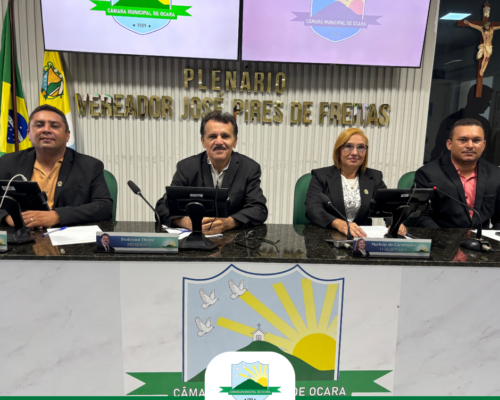 13ª Sessão Ordinária de 2026